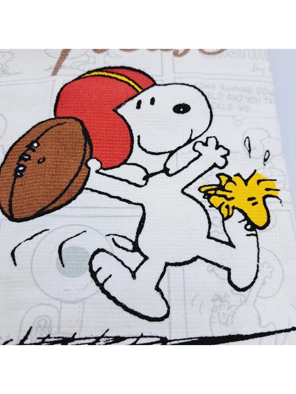 Fall Autumn Snoopy Peanuts Football Mug & Kitchen Towel Thanksgiving Decor